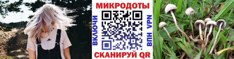 купить  сайты  Феодосия  Галлюциногенные грибы Cubensis 